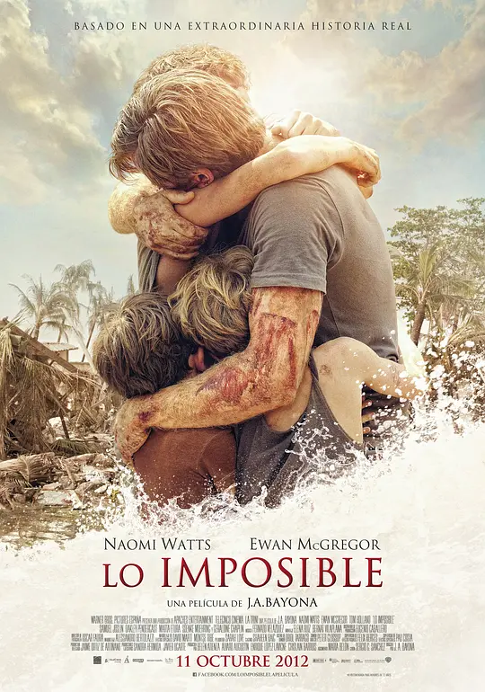 海啸奇迹/Lo imposible 2012西班牙泰国美国剧情家庭灾难片[7.8分] - 4K电影下载