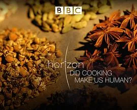 地平线系列：烹饪造就人类吗/Horizon: Did Cooking Make Us Human 2010英国纪录片片[7.4分] - 4K电影下载
