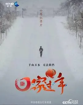 回家过年 第一季2017大陆纪录片剧 [更新10集][8.6分] - 4K电影下载