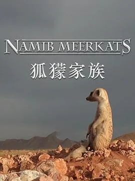 狐獴家族/Clan of the Meerkat 2010英国纪录片片[8.5分] - 4K电影下载