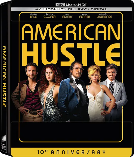 美国骗局/American Hustle 2013美国剧情犯罪片[6.8分] - 4K电影下载