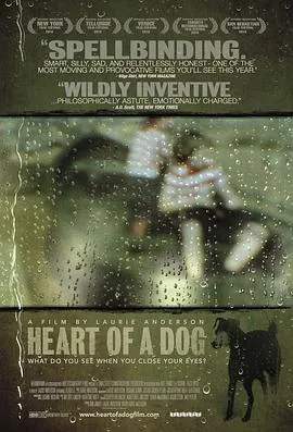 狗心/Heart of a Dog 2015美国法国纪录片片[7.8分] - 4K电影下载