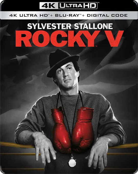 洛奇5/Rocky V 1990美国剧情运动片[8.0分] - 4K电影下载