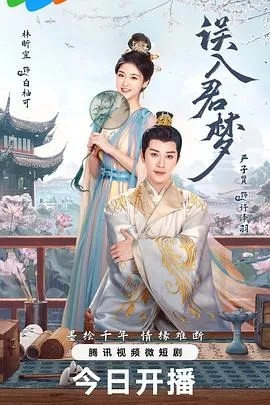 误入君梦2024大陆言情古装剧 [更新24集] - 4K电影下载