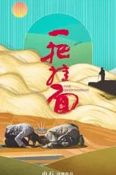 一把挂面 2018大陆剧情片 - 4K电影下载