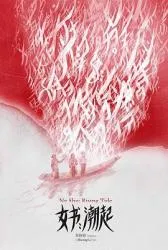 女书：潮起 2024大陆纪录片 - 4K电影下载