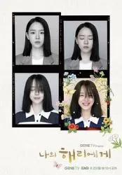 致我的解离2024韩国言情剧 [更新12集] - 4K电影下载