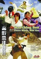 烈日狂风野火 1978香港台湾动作片 - 4K电影下载