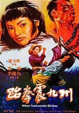 跆拳震九州 1973香港剧情动作战争片[5.6分] - 4K电影下载