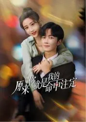原来你就是我的命中注定2024大陆言情剧 [更新24集] - 4K电影下载