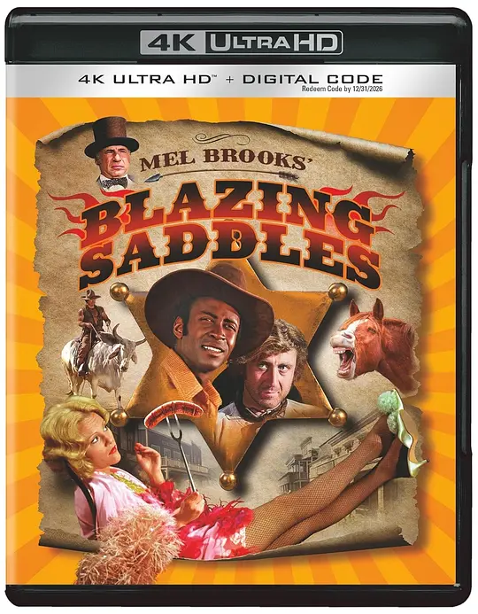 灼热的马鞍/Blazing Saddles 1974美国喜剧西部片[7.3分] - 4K电影下载