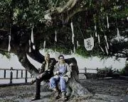 四十四只石狮子 2018台湾剧情片 - 4K电影下载