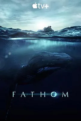 探寻鲸之音/Fathom 2021美国纪录片片[6.8分] - 4K电影下载