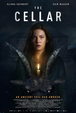 恐怖地窖/The Cellar 2022爱尔兰比利时美国恐怖片[5.7分] - 4K电影下载