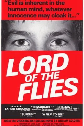 蝇王/Lord of the Flies 1963英国剧情惊悚冒险片[7.8分] - 4K电影下载