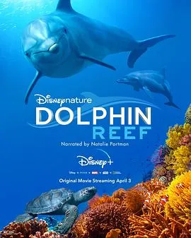 海豚礁/Dolphin Reef 2020美国纪录片片[8.8分] - 4K电影下载