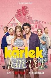 真爱搞婚头 2025瑞典爱情片 - 4K电影下载