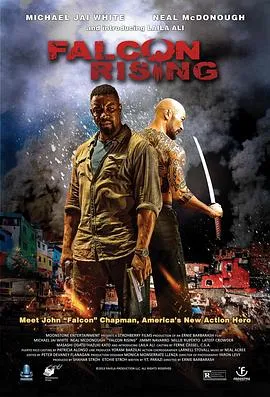 猎鹰突起/Falcon Rising 2014美国动作冒险片[5.9分] - 4K电影下载