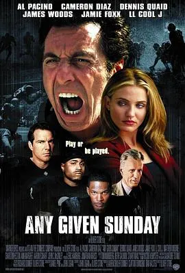 挑战星期天/Any Given Sunday 1999美国剧情运动片[7.9分] - 4K电影下载