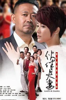 伙伴夫妻2015大陆剧情家庭剧 [更新31集][6.6分] - 4K电影下载