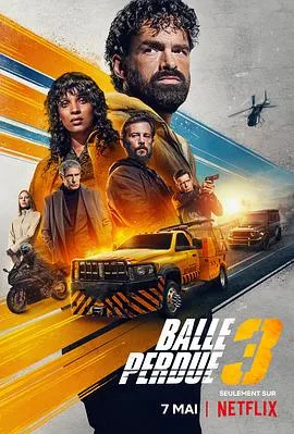 罪证子弹3/Balle perdue 3 2025法国剧情动作惊悚片 - 4K电影下载