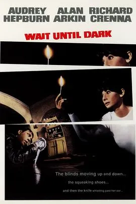 盲女惊魂记/Wait Until Dark 1967美国剧情惊悚犯罪片[7.7分] - 4K电影下载
