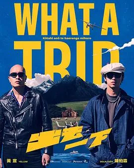 出去一下 What A Trip2025台湾真人秀剧 [更新19集] - 4K电影下载