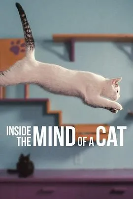 喵星人的奇思妙想/Inside the Mind of a Cat 2022美国纪录片片[7.5分] - 4K电影下载