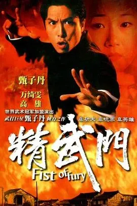 精武门1995香港动作武侠古装剧 [更新30集][8.4分] - 4K电影下载
