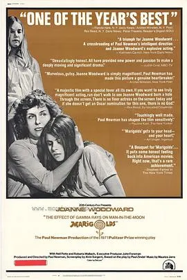 伽马射线效应/The Effect of Gamma Rays on Man-in-the-Moon Marigolds 1972美国剧情片[7.8分] - 4K电影下载