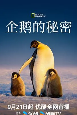企鹅的秘密2025美国纪录片冒险剧 [更新03集] - 4K电影下载