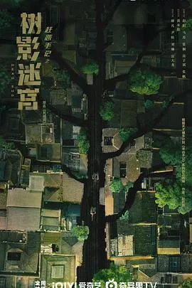 树影迷宫2025大陆剧情悬疑剧 [更新18集] - 4K电影下载