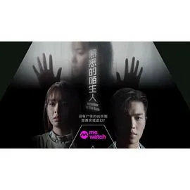 熟悉的陌生人2023新加坡剧情悬疑剧 [更新10集] - 4K电影下载